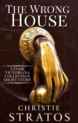 The Wrong House by Christie Stratos